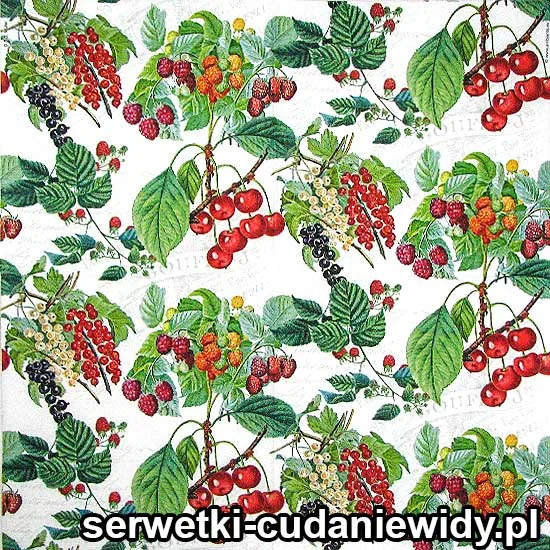7492 Porzeczki Wiśnie Maliny