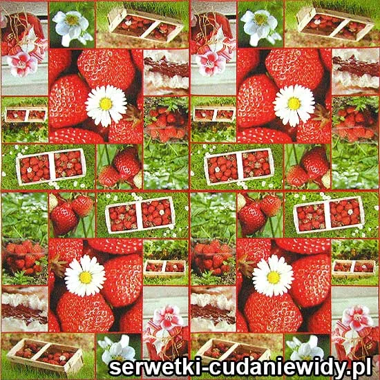 75521 Serwetki Papierowe