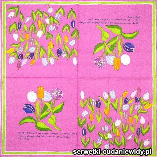 75537 Serwetki Papierowe