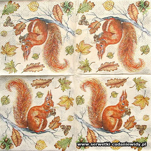 7561 Squirrel On Branch