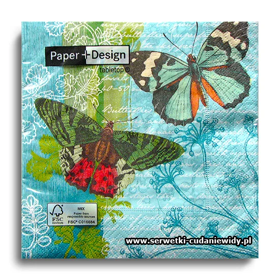 7592PACZKA Flying Friends