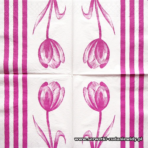 7602 Purple Tulip