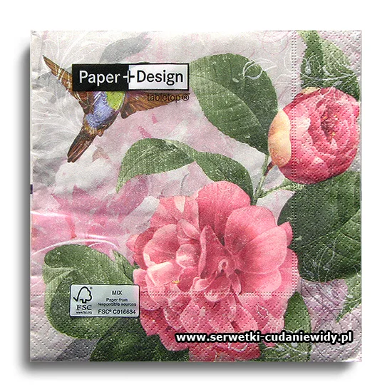7644PACZKA Hummingbird Dance
