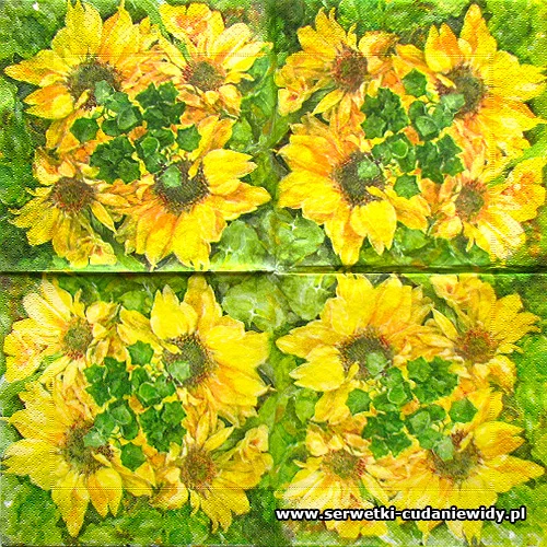 7648 Sunflower House