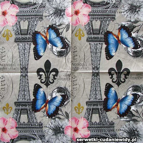 7698 Kolorowy Motyl W Paryżu