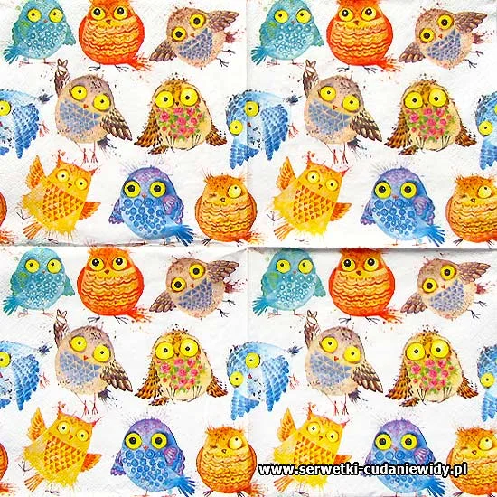 7705 Crazy Owls