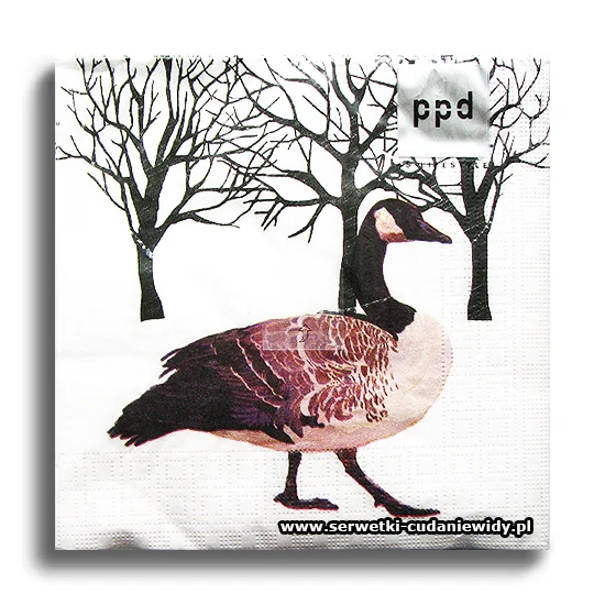 7731PACZKA Winter Goose