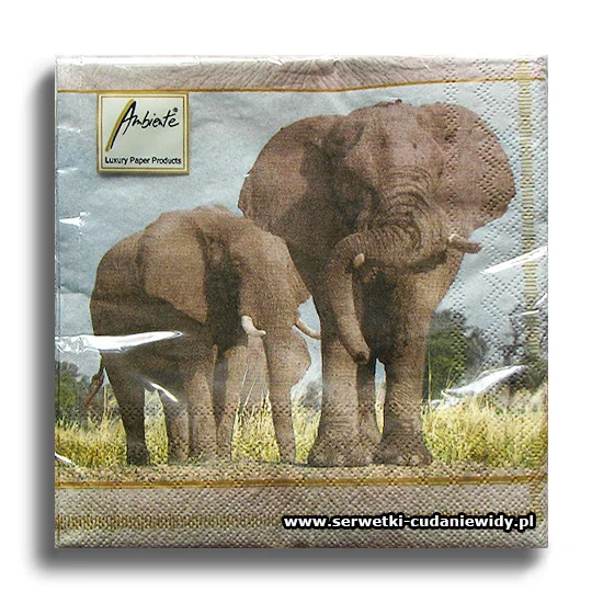 7764PACZKA Elephants