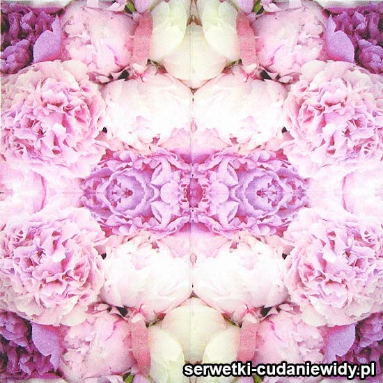 7771 Goździki I Peonie