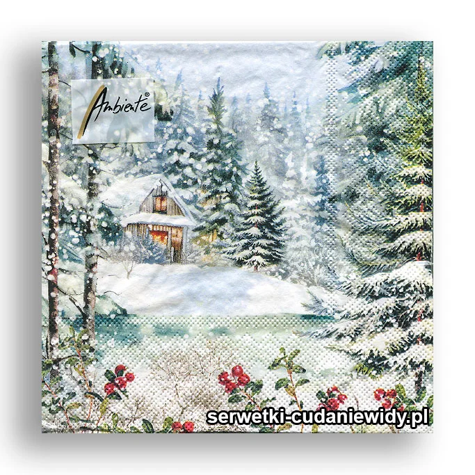 7799PACZKA Domek W Zimowym Lesie