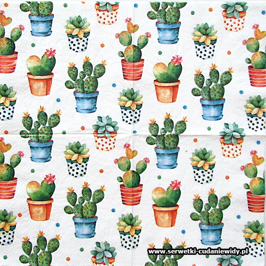 7837 Cactus