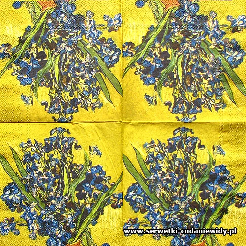 7844 Iris Van Gogh Museum