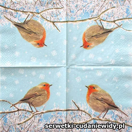 7852 Zimowy Rudzik