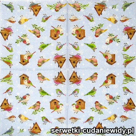 7863 Ptaki I Budki Dla Ptaków