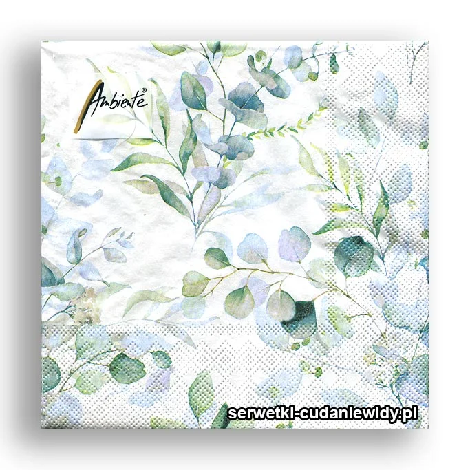 7935PACZKA Eukaliptusy