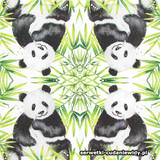 7966 Panda