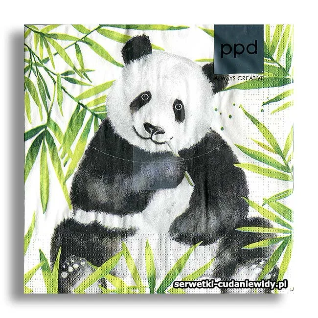 7966PACZKA Miś Panda