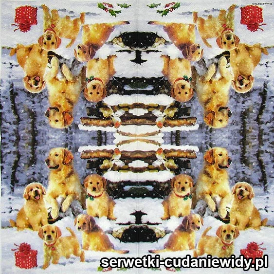 8018 Zimowe Goldeny