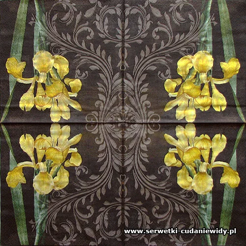 8020 Iris Amarillo Black