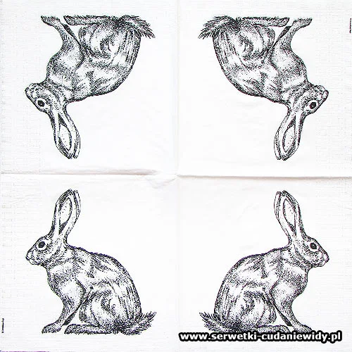8025 Mod Rabbit