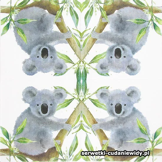 8043 Miś Koala