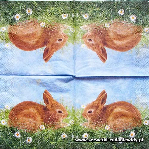 8053 Bunny