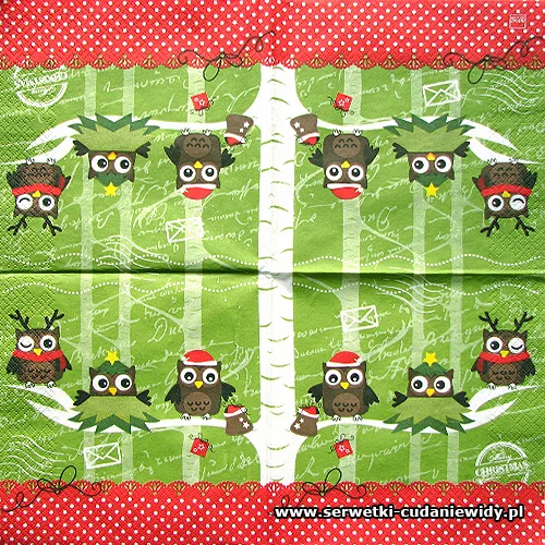 8076 Dressed Up Owls