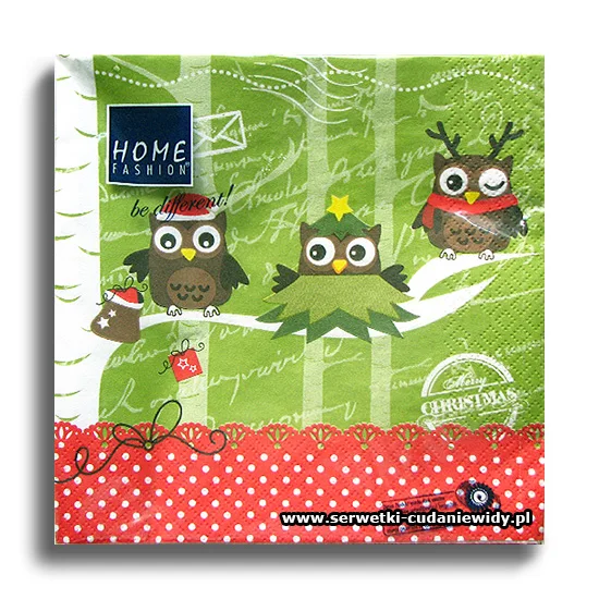 8076PACZKA Dressed Up Owls