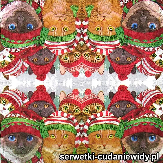 8093 Koty W Zimowych Czapkach