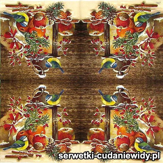 8101 Zimowe Światło