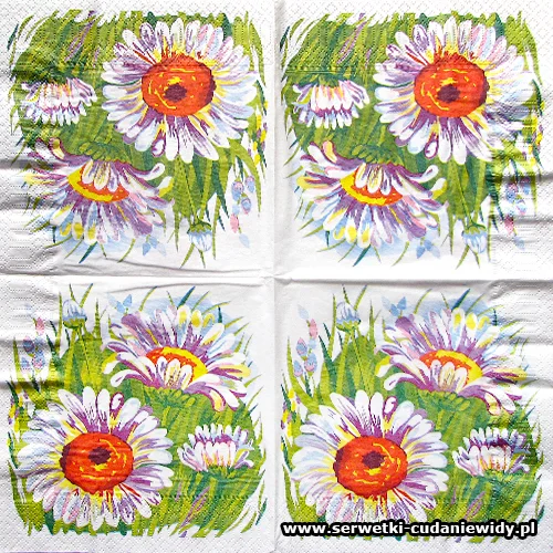 8105 Daisy Daisy