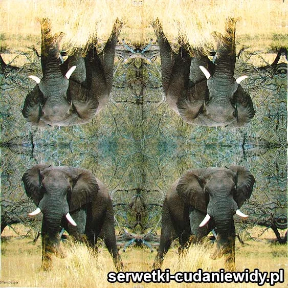 8139 Elephant
