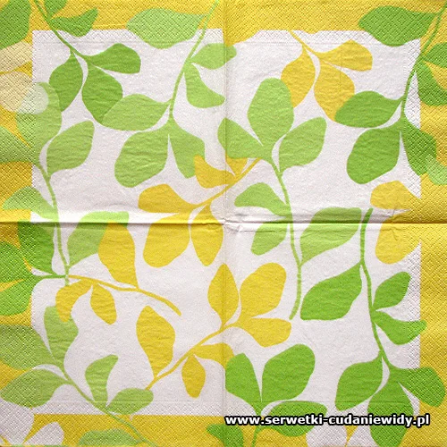 8162 Paper Design