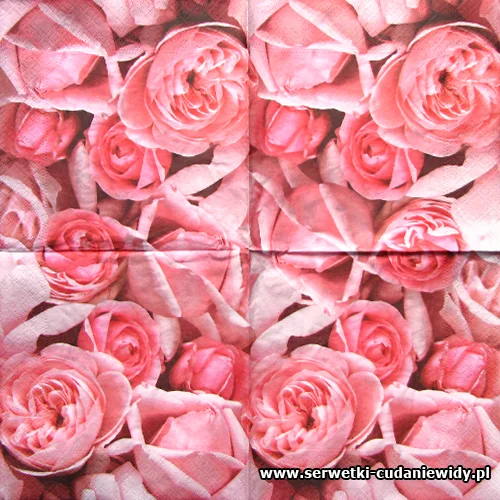 8164 Charming Rose