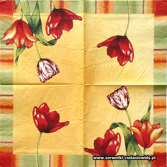 8187 Tulips