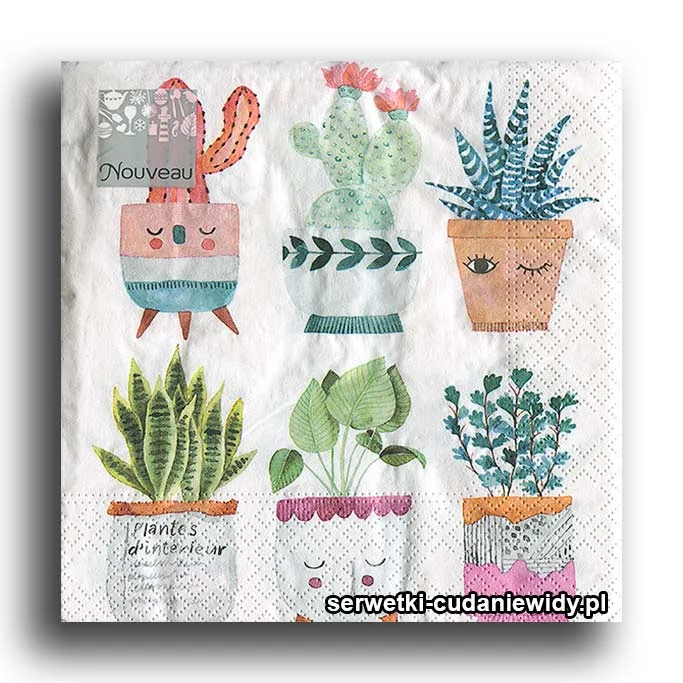 8189PACZKA Sukulenty I Kaktusy