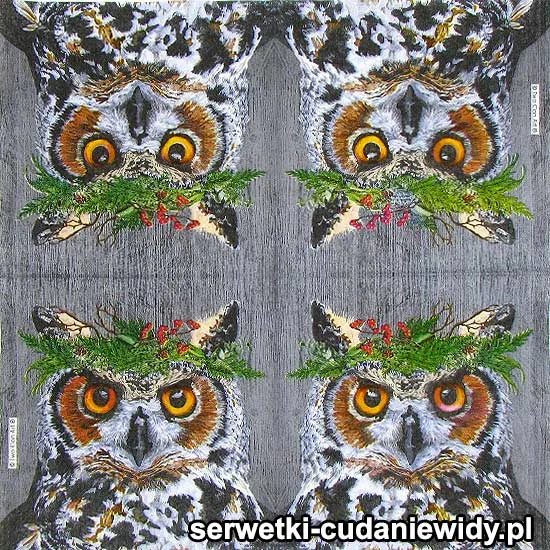 8192 Sowa Zimowa