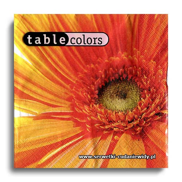 8208PACZKA Orange Gerberas