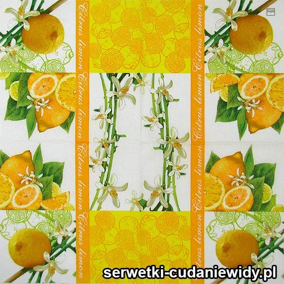 82099 Serwetki Papierowe