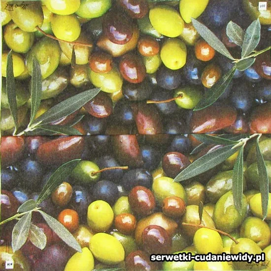 8224 Oryginalny Wzór