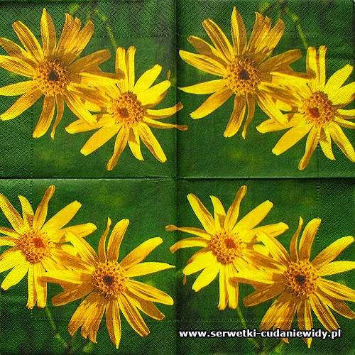 8225 Yellow Gerberas