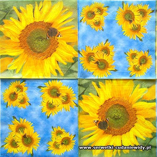8258 Sunflower