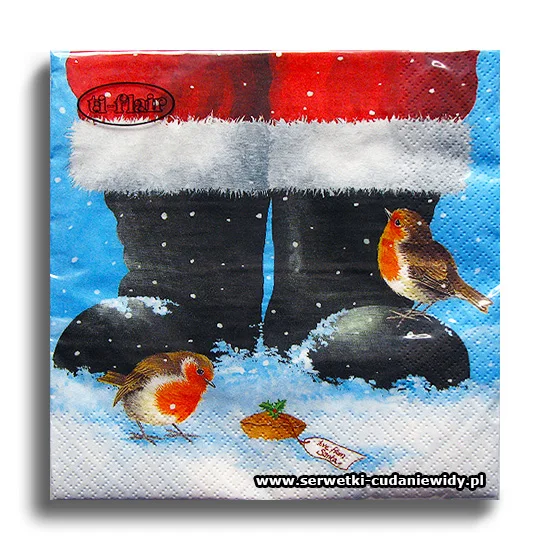 8280PACZKA Two Robins At Santa`s Feet