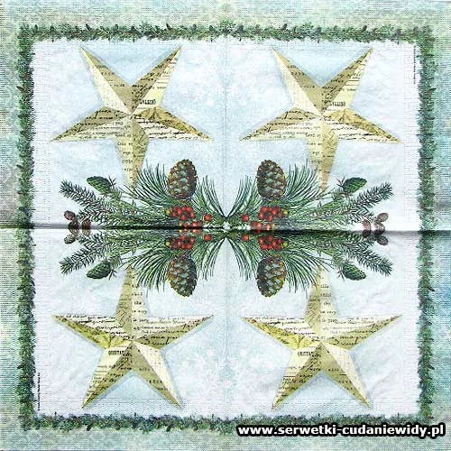 8302 Winter Lodge Star