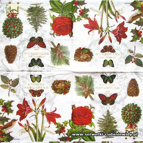 8316 Holiday Flora