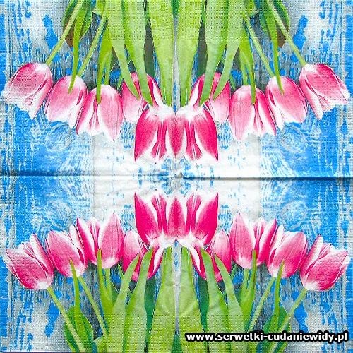 8421 Tulipe Fucsia
