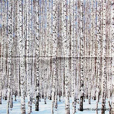 8440 Winter Birches