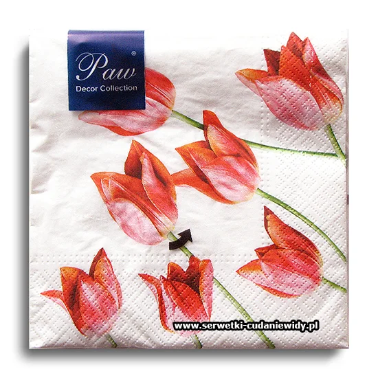 8492PACZKA Red Tulips