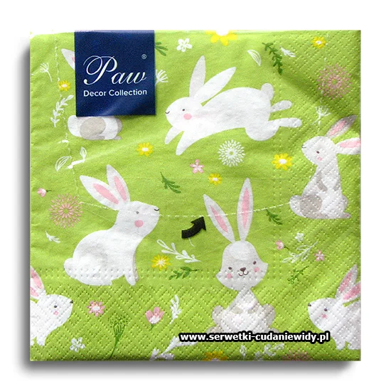 8521PACZKA Games Of Rabbits