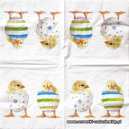 8523 Chick Fashion